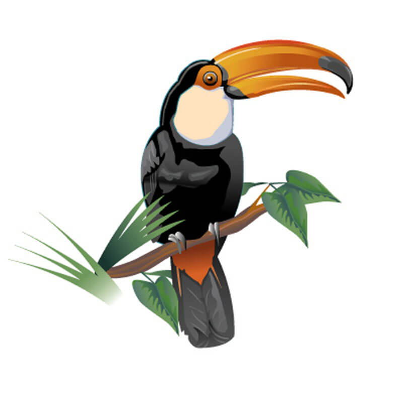 Animal Illustration 1