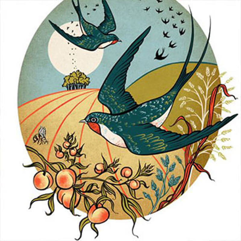 Animal Illustration 12